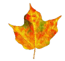 Leaf - Gratis animeret GIF