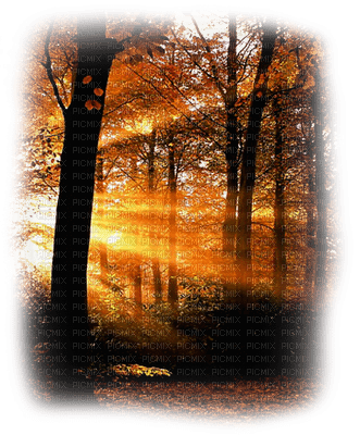 autumn background  by nataliplus - png gratuito