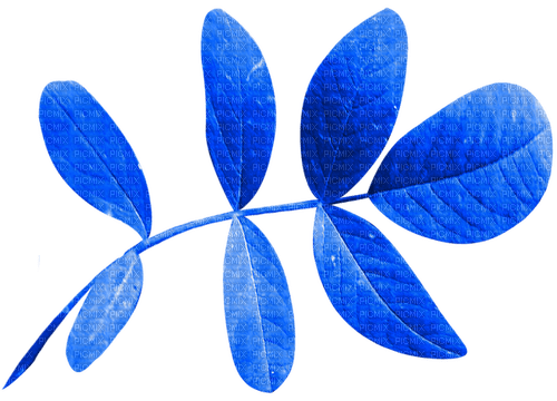 Leaf.Blue - 免费PNG