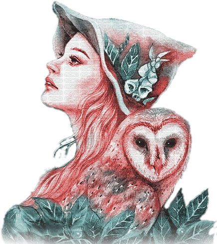 soave woman bird owl fantasy pink teal - 無料png