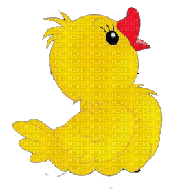 Kaz_Creations Cute Bird Duck - nemokama png