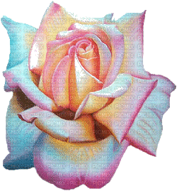 dragon rose - Darmowy animowany GIF