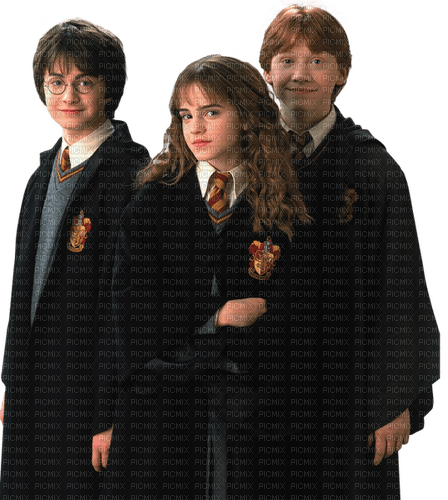 Harry Potter Ron - bezmaksas png