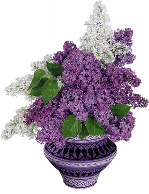 lilas - Free PNG
