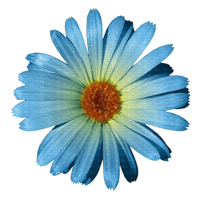 Kaz_Creations Deco Flower Blue - 免费PNG