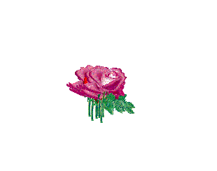 coeur fleur - Δωρεάν κινούμενο GIF