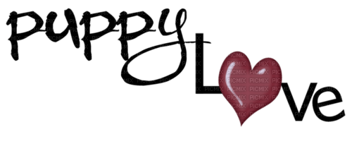 Puppy love.Text.Deco.Victoriabea - Free PNG