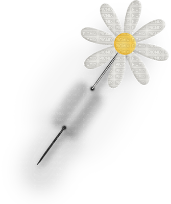 Kaz_Creations Deco Flower Pin Colours - png grátis