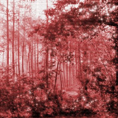 Red Forest Background - Zdarma animovaný GIF