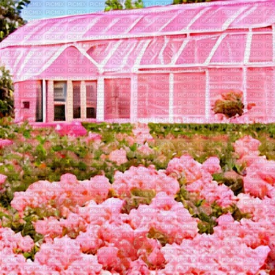 Pink Gardens Background - png grátis