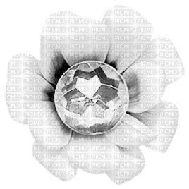 Flower.White - Free PNG