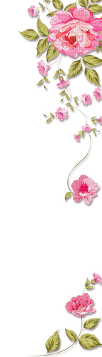 Flower Frame - 免费PNG