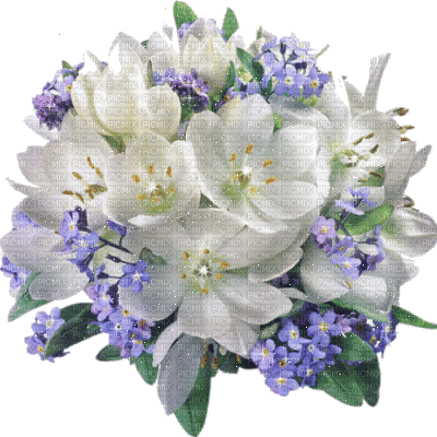kwiat-3 - Besplatni animirani GIF