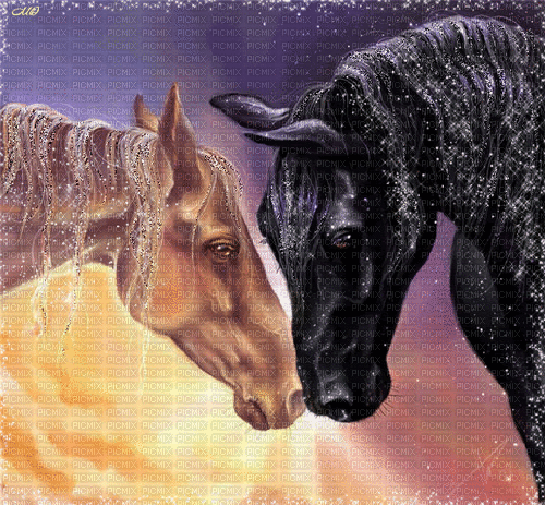 horses love - Ingyenes animált GIF