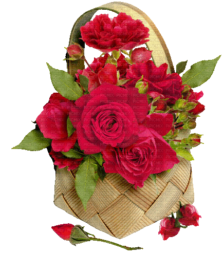 Flowers. Roses. Red. Basket. Leila - Gratis geanimeerde GIF