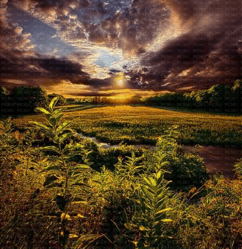 Rena Landschaft Hintergrund Sun - 無料png