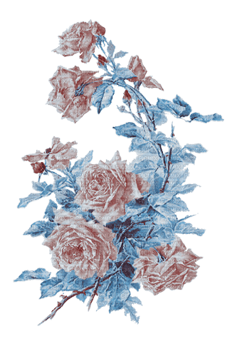 soave deco flowers rose branch vintage blue brown - PNG gratuit