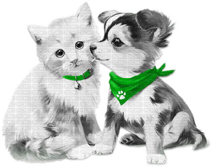 soave deco valentine animals cat dog friends - gratis png