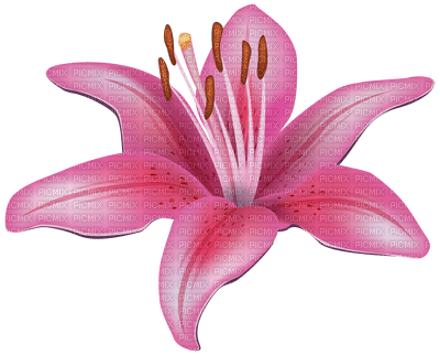 Flowers pink bp - png grátis