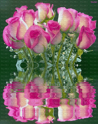 rosa rosa - GIF animé gratuit