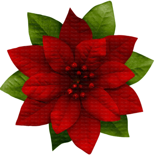 Christmas.Flower.Green.Red - 無料png