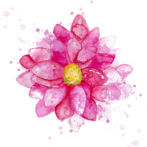 watercolor flower Bb2 - darmowe png