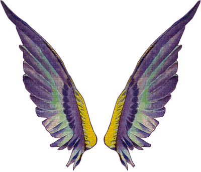Kaz_Creations Angel Wings - δωρεάν png