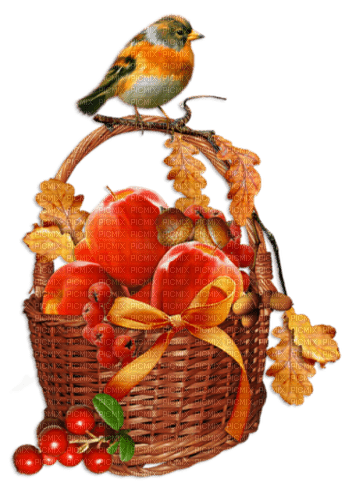 Autumn. Bird. Basket, apples. Leila - nemokama png