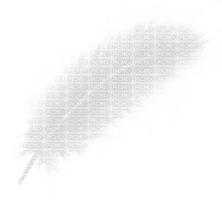 feather feder feathers ressort deco blanc weiß white  effect tube - gratis png