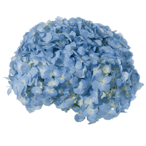 kikkapink deco scrap bouquet flowers blue - darmowe png