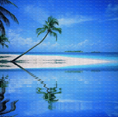 loly33   BEACH SUMMER - Besplatni animirani GIF