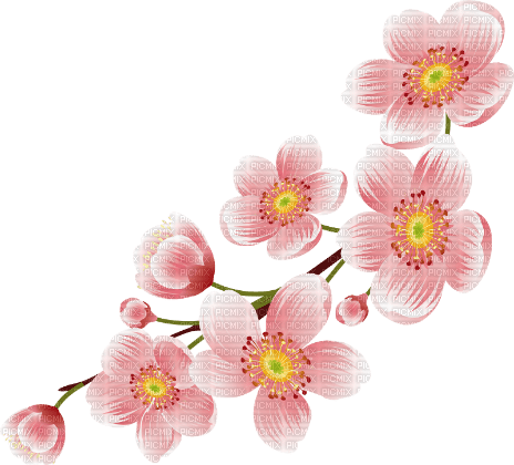plum blossom   Bb2 - PNG gratuit