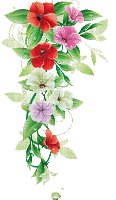 soave deco branch flowers animated pink green red - GIF animé gratuit