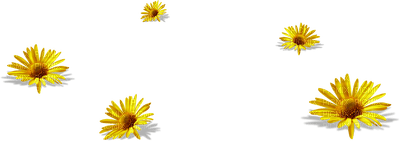 flowers anastasia - darmowe png