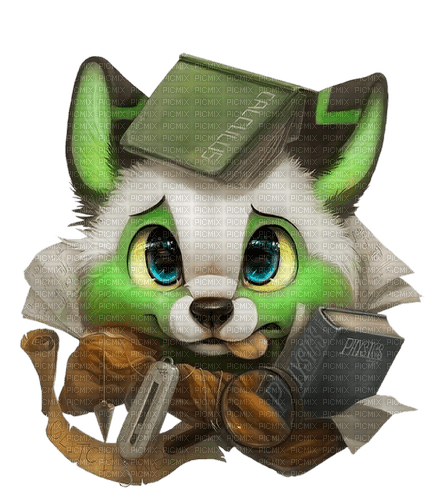 raccoon by nataliplus - 免费PNG