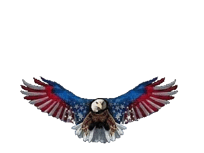 Eagle Flag Stars - 免费动画 GIF