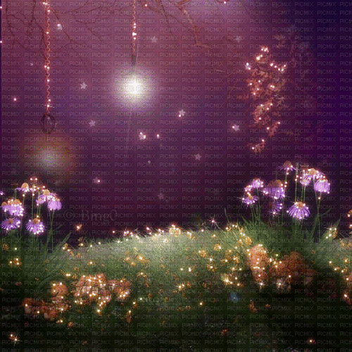 Y.A.M._Fantasy night stars background - Ingyenes animált GIF