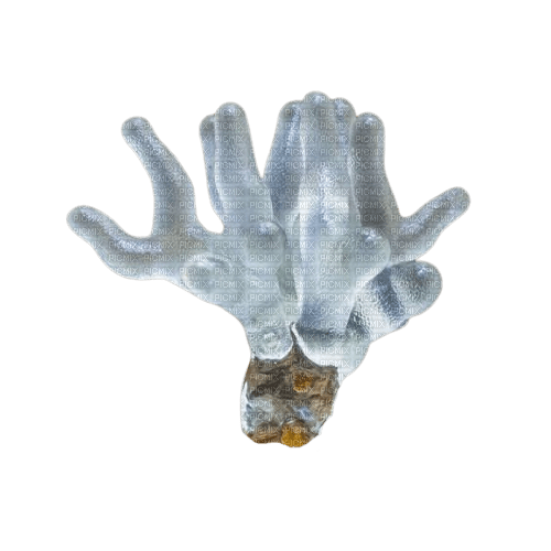 mold 4 - Free PNG