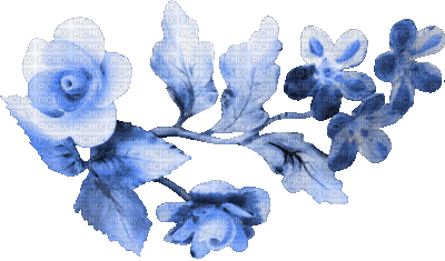 soave deco flowers animated branch spring summer - Безплатен анимиран GIF