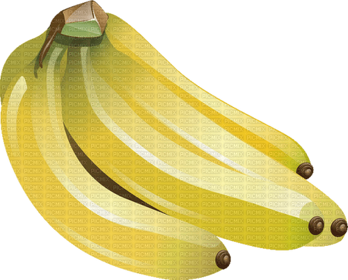 Fruit. Bananas. Leila - gratis png