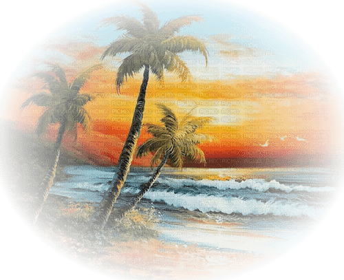 background summer sea palm tree - PNG gratuit