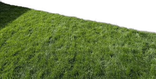 Gras - бесплатно png