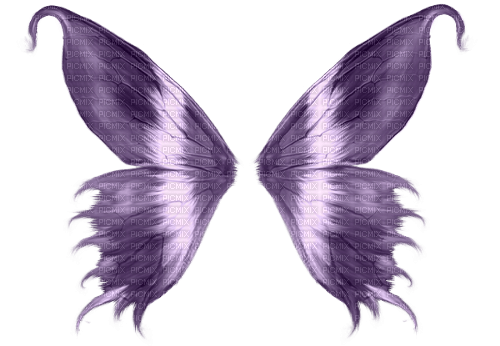 flügel wings - 免费PNG