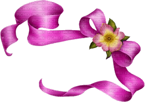 bows-pink-with flowers - Free PNG