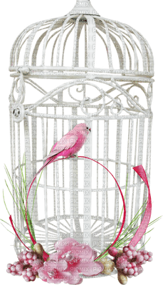 Kaz_Creations Birds Bird In Cage - darmowe png