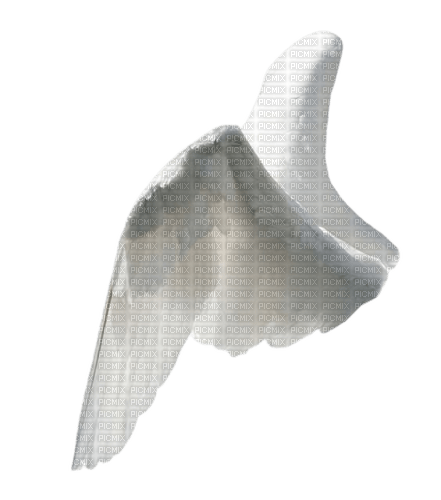 ailes d'ange - PNG gratuit