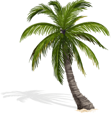 arbre - Free PNG