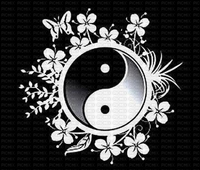 yin yang - png gratuito