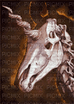 unicorn skull - Ilmainen animoitu GIF