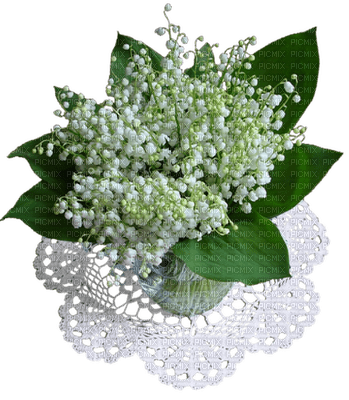 patymirabelle fleurs muguet - png ฟรี